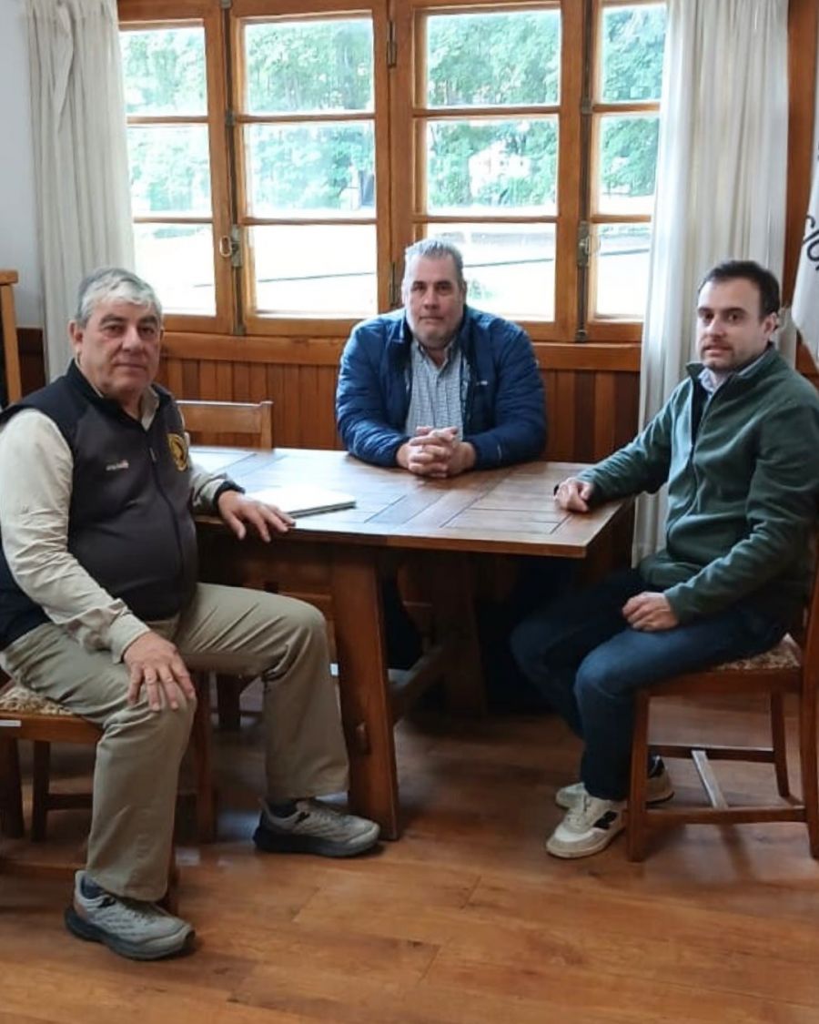 3152401b529ba597f5137bb7275c9241_XL