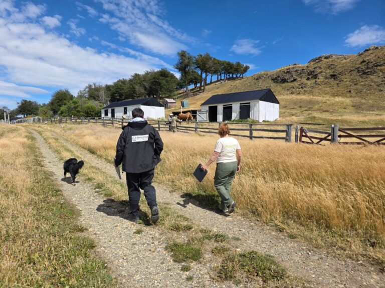 WhatsApp_Image_2026-02-25_at_21.05.10