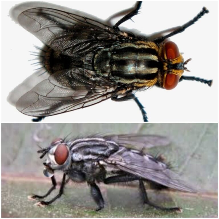 b433f7b0-84ac-4926-b0ed-d518f0d394d7