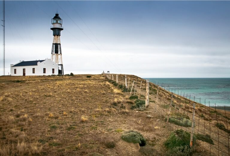 dc03be24-8749-412f-b3ff-bc71f2f45793