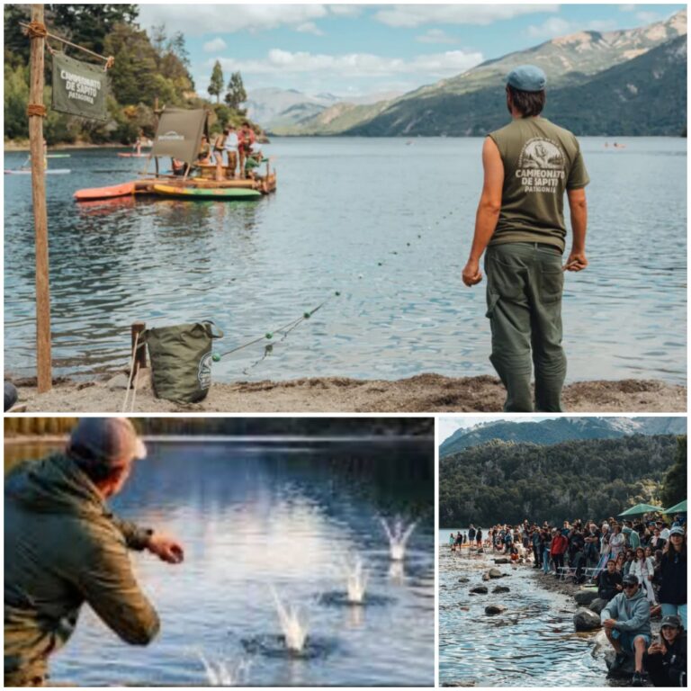 dc5a8b09-86f6-49d0-9521-4c62eb94b693