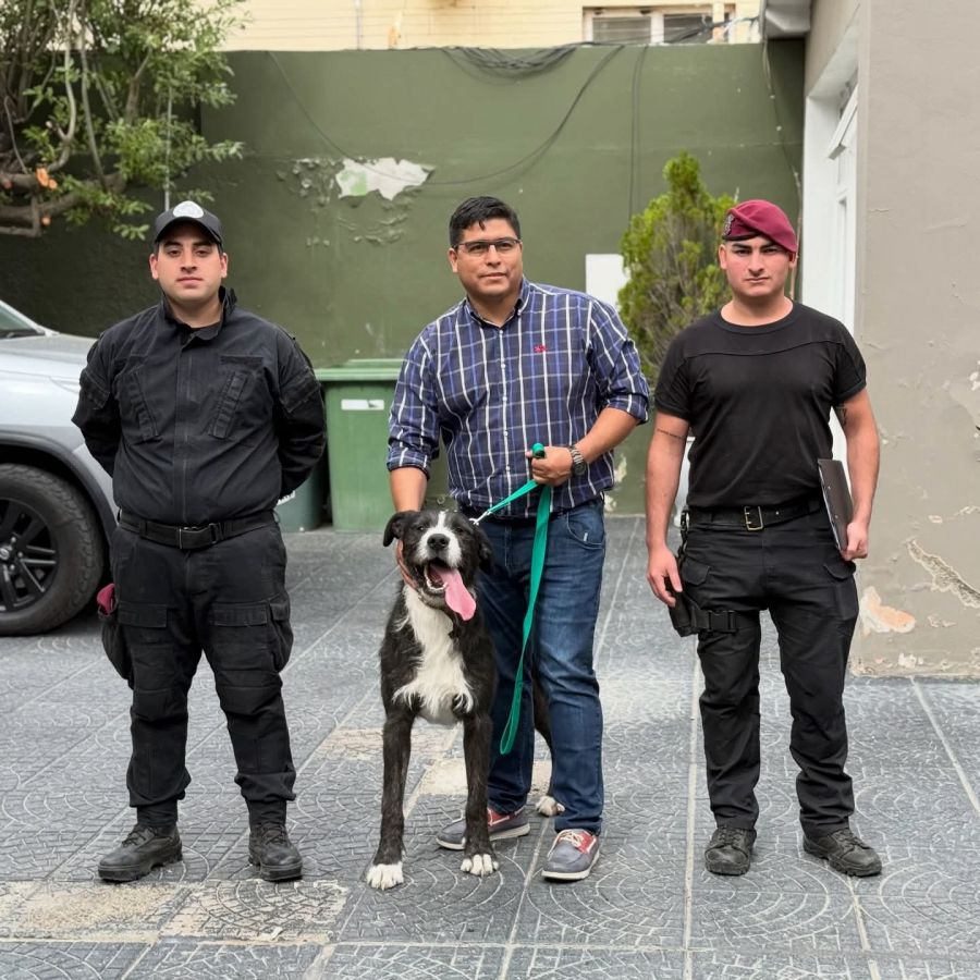 e87b9e62d7c7d249d4854c57b58d291d_XL