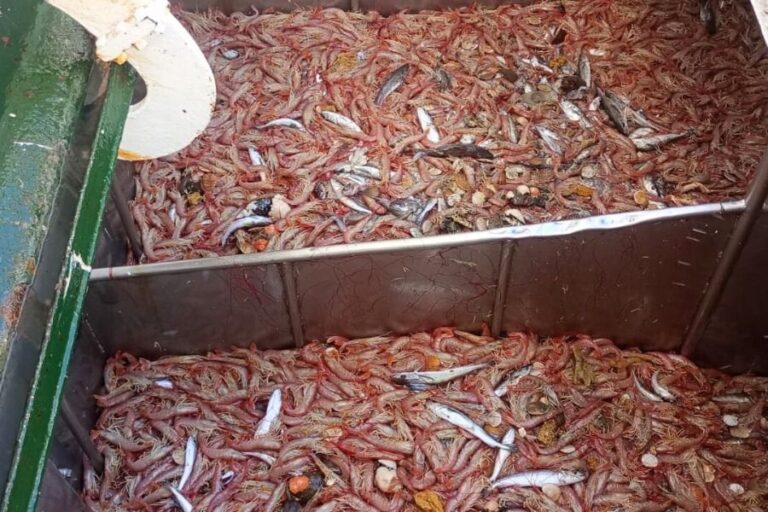 f2d1578edb36246186aa089fb4b9ce82_XL