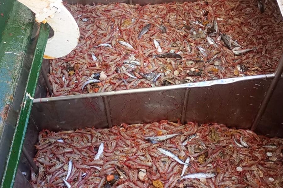 f2d1578edb36246186aa089fb4b9ce82_XL