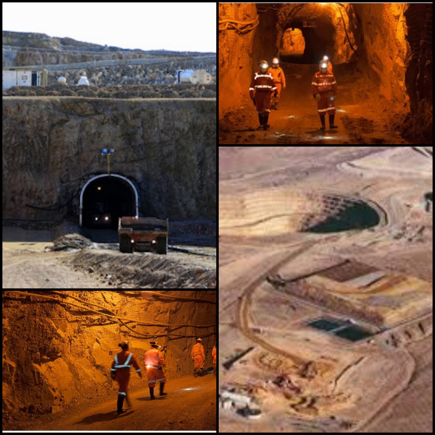 02e18cf8-8dd1-4c92-a174-76c650fc0334