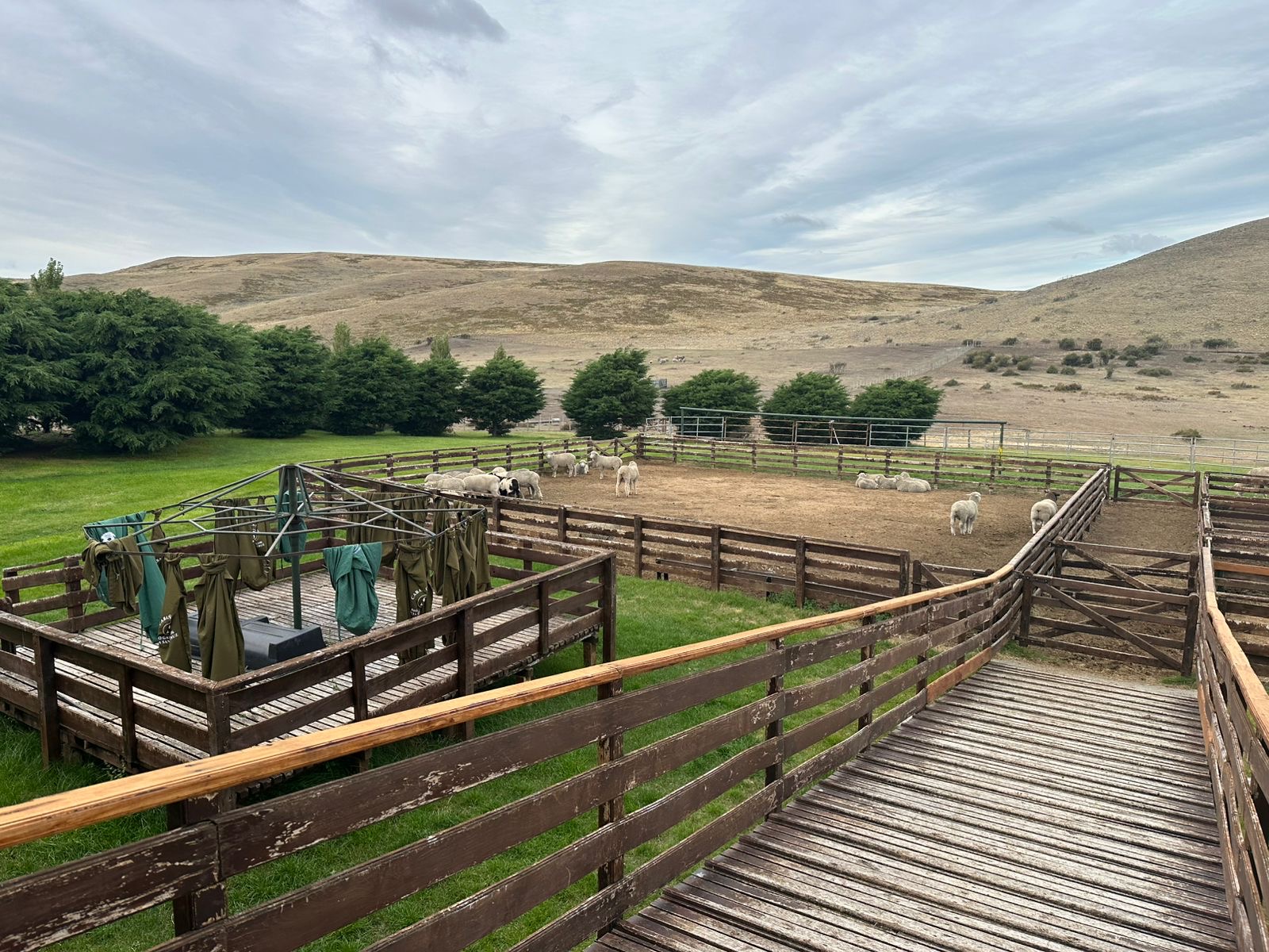 20089eaa-9d9b-47fd-bb36-140bb2296826