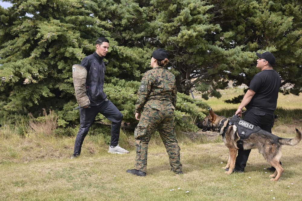 20260130_POLICIA_DIVISION_CANES-41_-_-_-_m