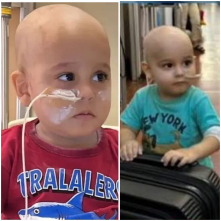 261bd455-8f4a-4202-8d22-83e0e0fe99de