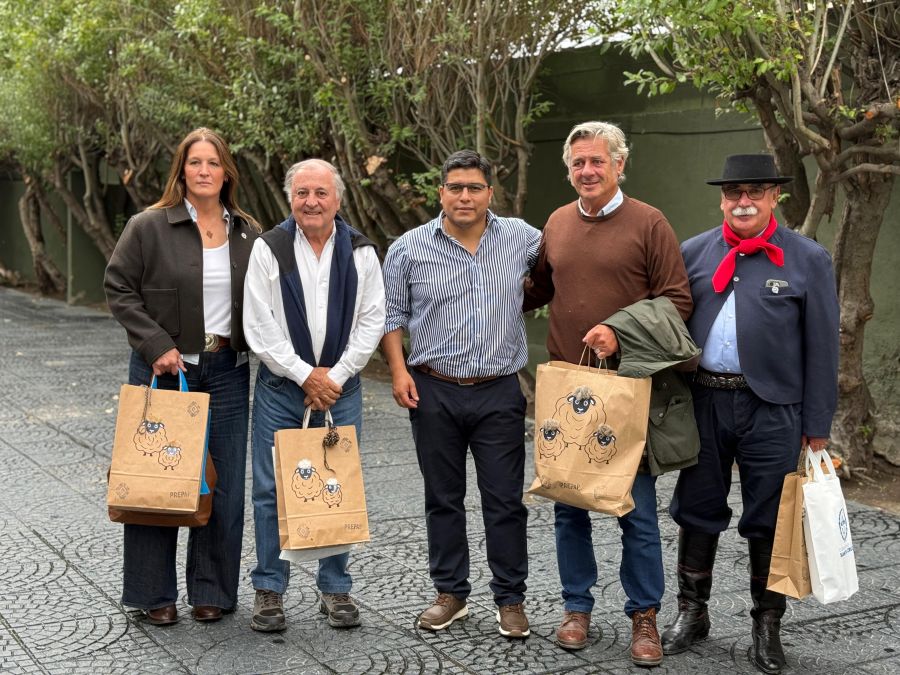 33f0af2e45c3eb953789b5b86fcee1df_XL