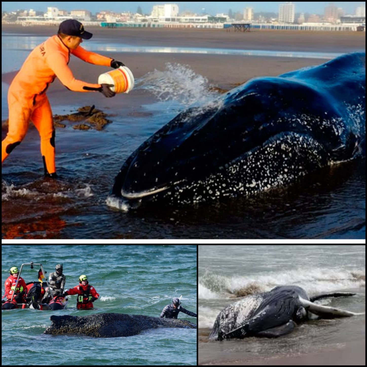 8831af20-2577-4a9c-8a69-30874a4f4df2