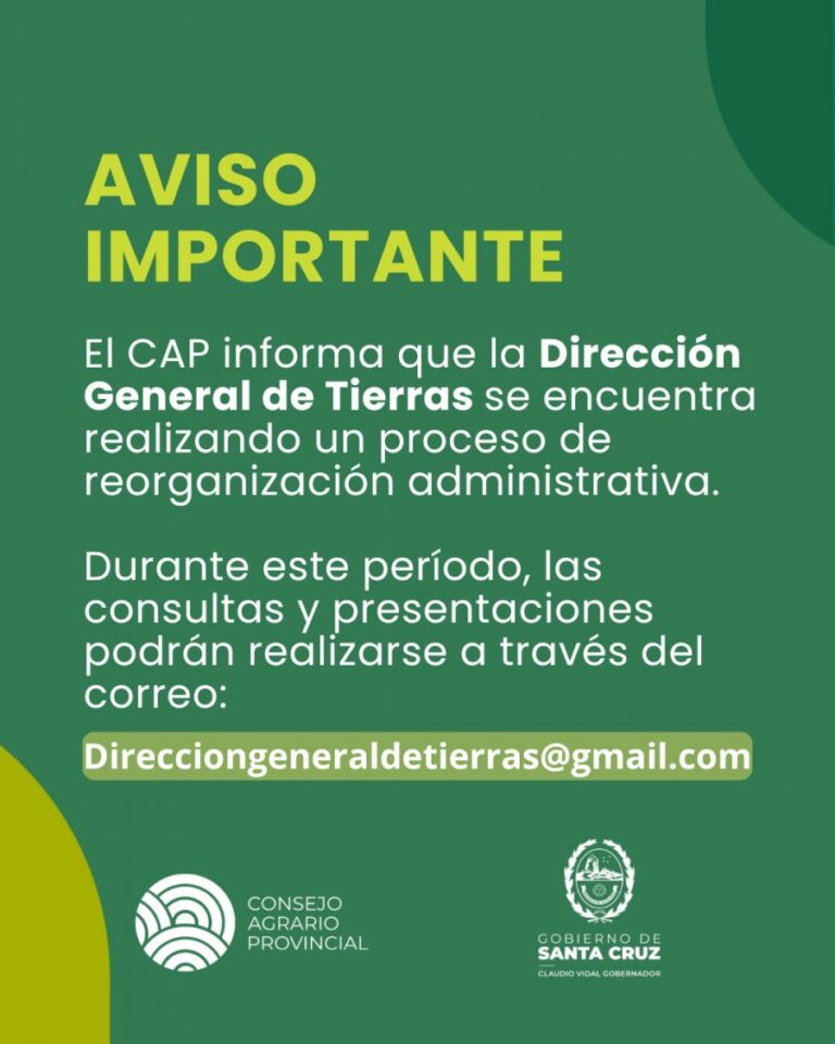 91c8a2307b6fe3af8bd9091f73f4c6dd_XL