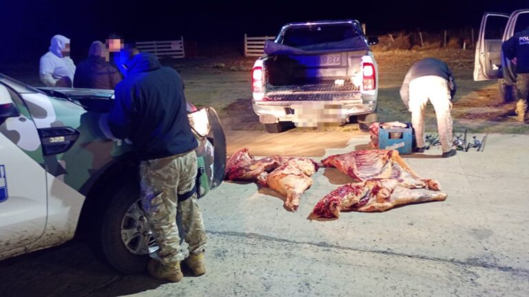 aaa64f50-ff9e-4c29-8b92-73d6dddba59d