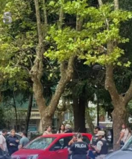 d08616e5-5774-4b93-80d2-805d3c004d68