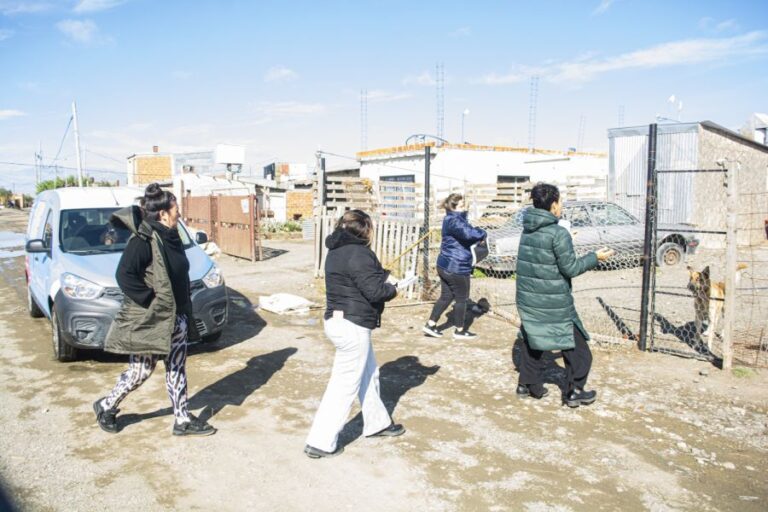 e6f206fbf1024c9eb1cd9775e11c35bb_XL