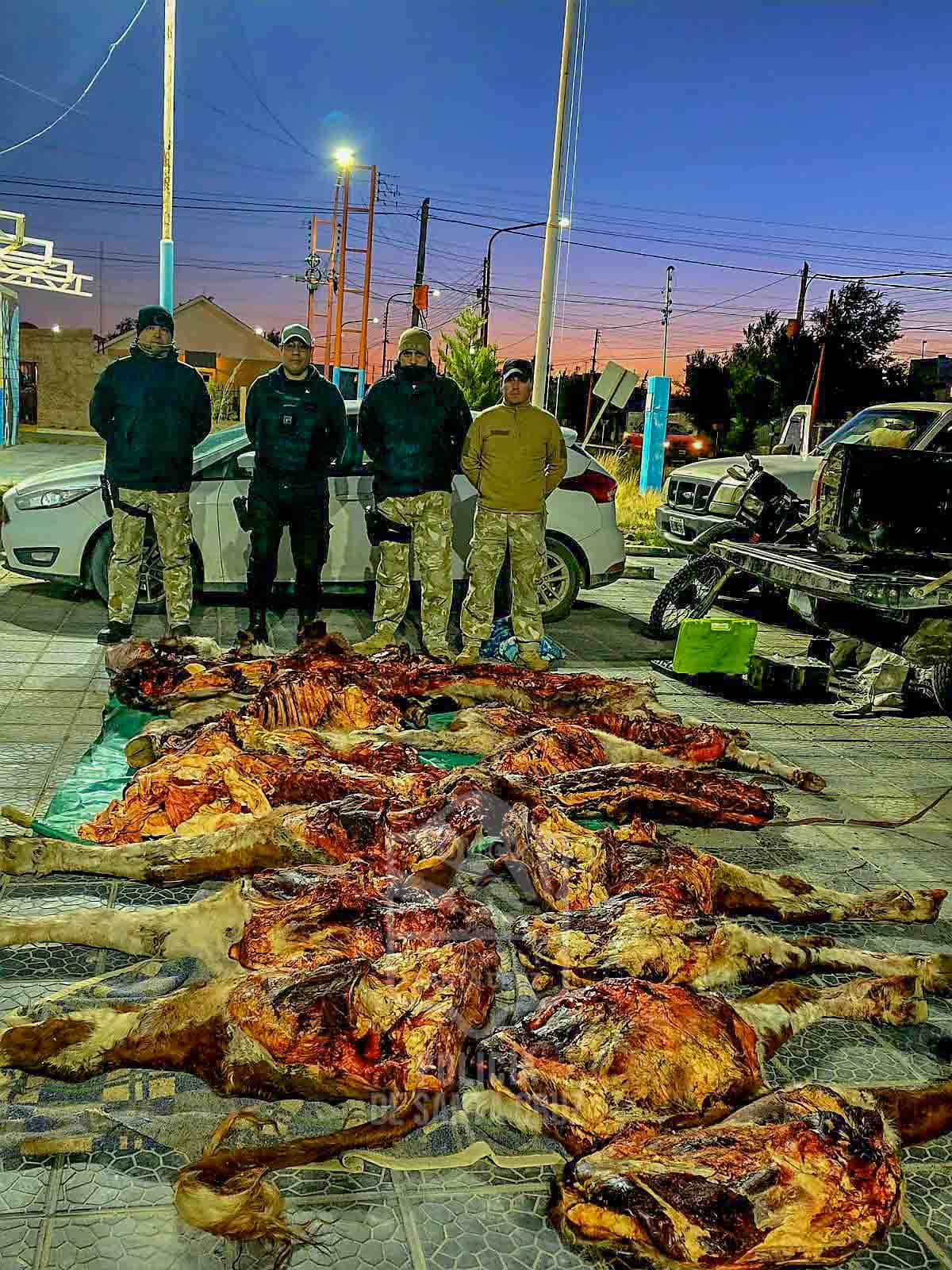 156cf644-9192-4b5e-bea7-0273a25ecad4