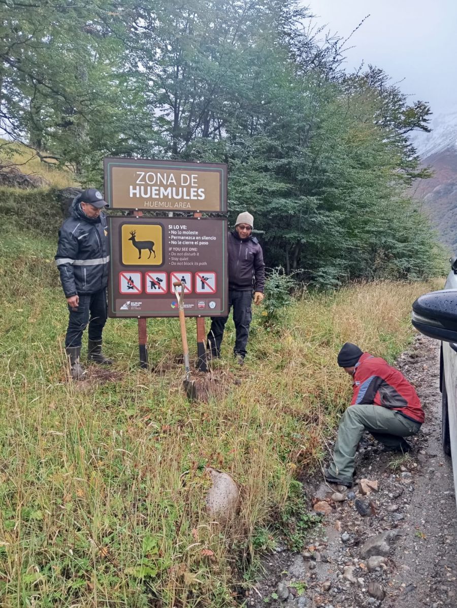 48e6e51d3f6b2ee7079a99d9c3aa2a96_XL