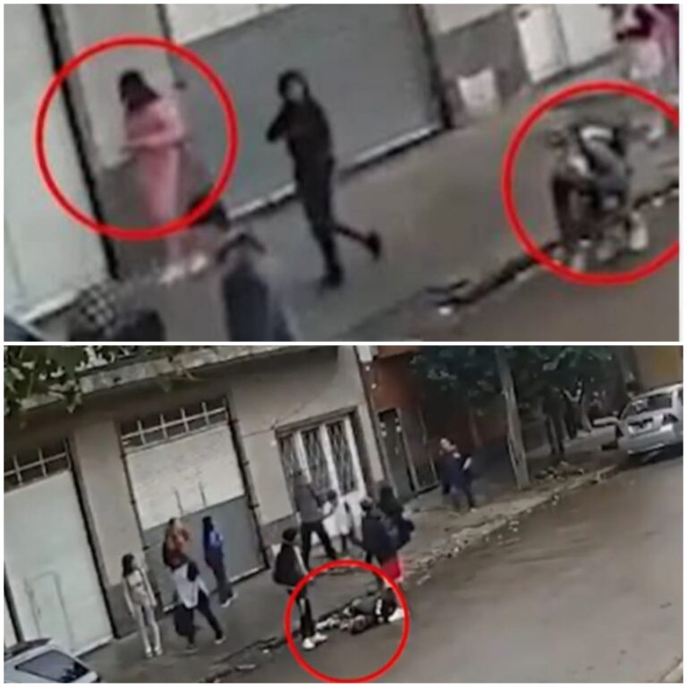 7d3894aa-8fc7-44ef-a367-72a71b7a47d6