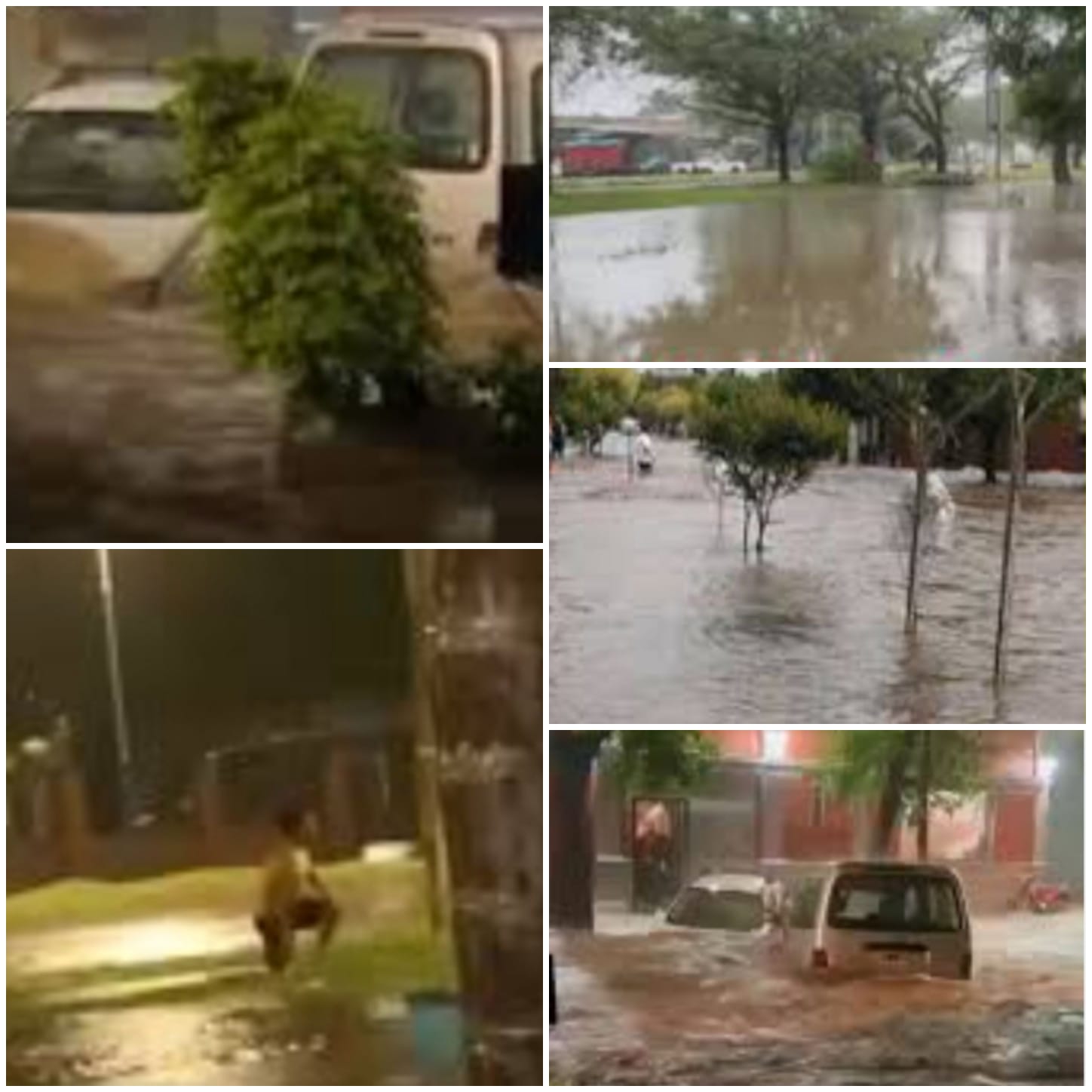 cd14561a-1326-4c7f-9812-27cc324e8f25