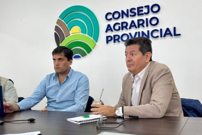 de05e87a88492776566746d8bcf2887f_XL