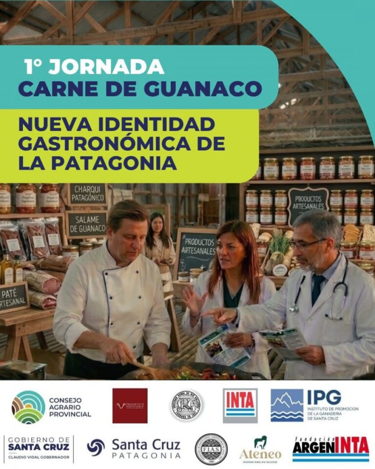 ee07c5f6cffac97708db8755e2855564_XL